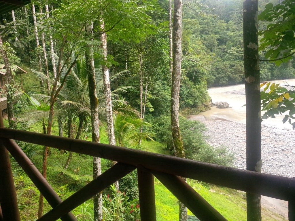 view from room in Rio Tropicales Costa Rica