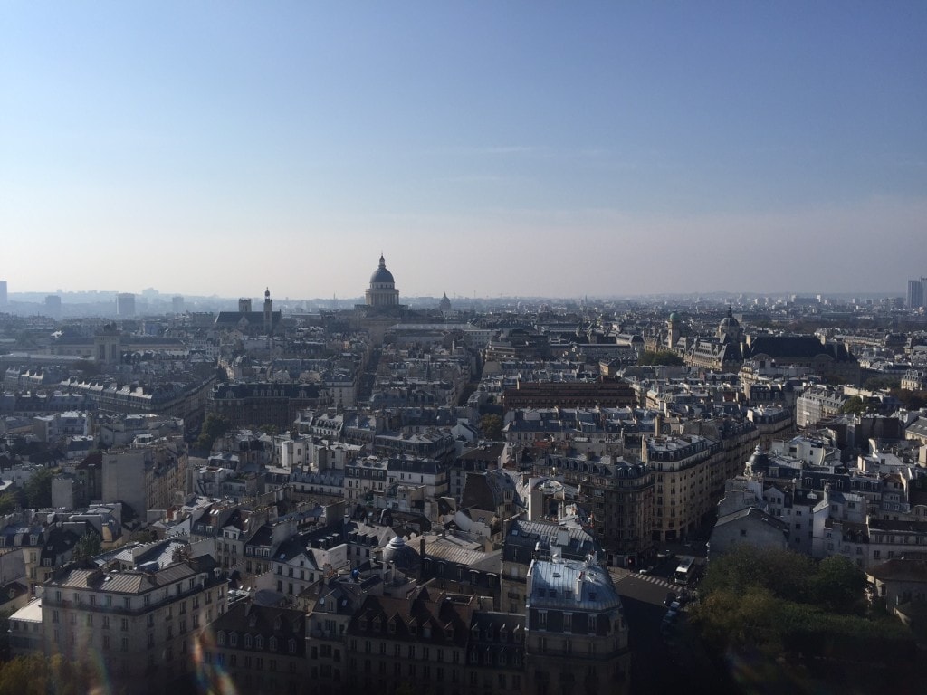 View from the top, the dome in the distance is the Pantheon. - "Morning with Gargoyles at Notre Dame de Paris" - Two Traveling Texans