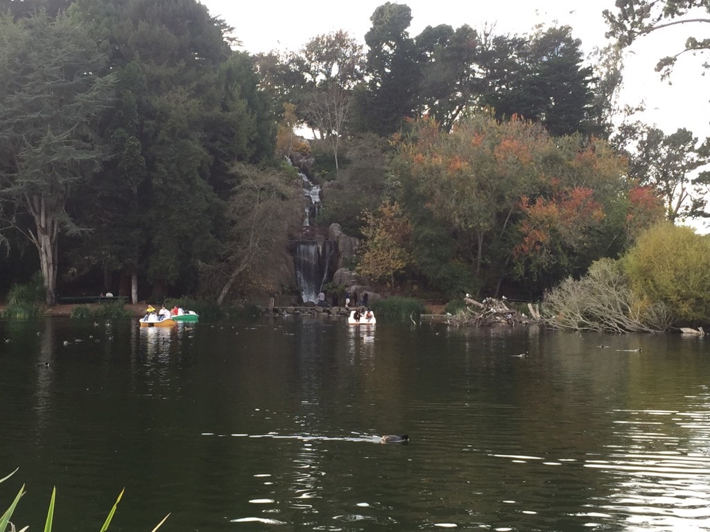 The boats in Stow Lake in Golden Gate Park - "Golden Gate Park - More than Your Average Greenspace" - Two Traveling Texans