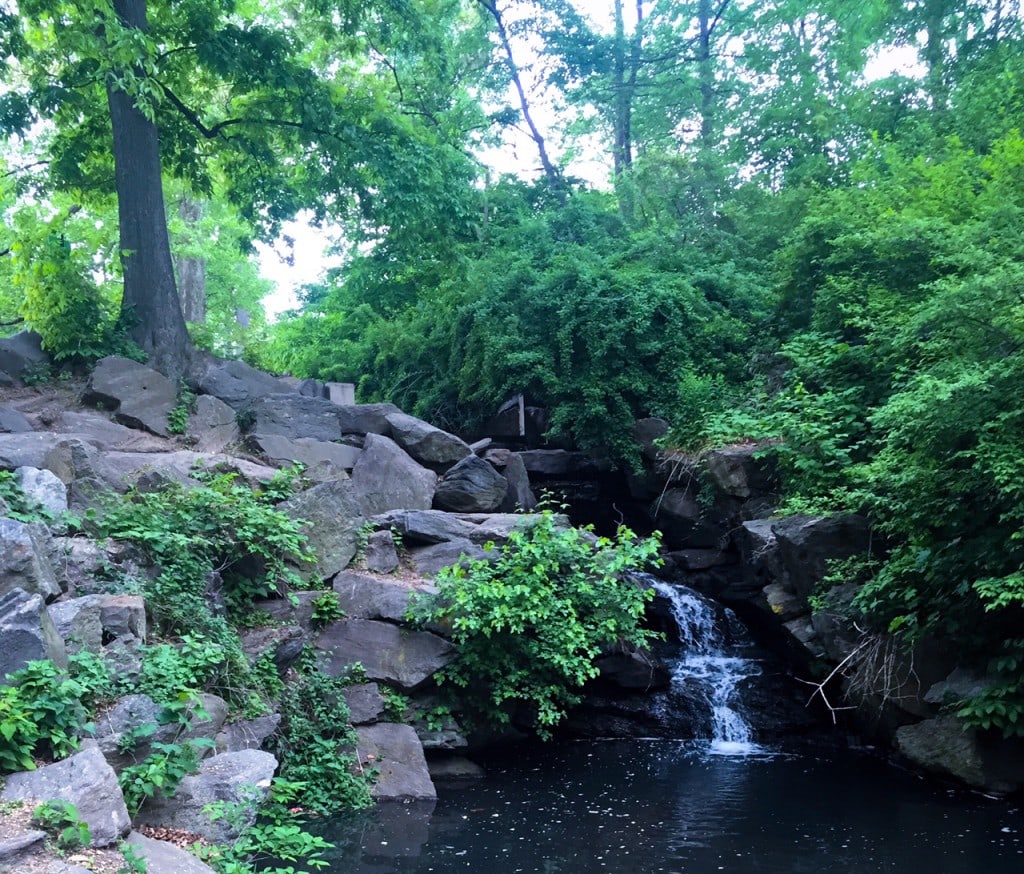 A waterfall in the North Woods. - "The Hidden Gems in Northern End of Central Park" - Two Traveling Texans